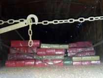 Mehr Beschützer als Freund