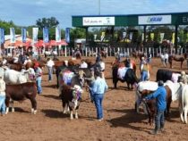 Mennoniten verlangen mehr staatliche Präsenz