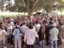 Von der Musterkolonie in den Abgrund