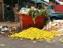 “Das Problem ist die Kultur der Paraguayer“