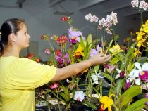 Nicht nur für Mütter