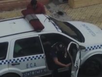 In bester Qualität festgehalten