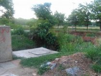 Statt Erholung ein Desaster