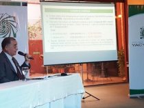 Ein Umdenken bei Yacyretá