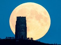 Der Erdbeermond am Firmament