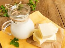 Mennoniten wollen Milchproduktion im Chaco weiter forcieren