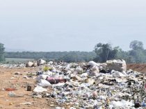 Eine Bewusstseinsveränderung der Paraguayer setzt langsam ein