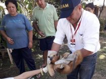 Erst den Jaguar erschossen, nun werden Wildtiere im Chaco gerettet