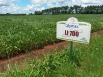 Die paraguayischen Städte mit den vermögendsten Bewohnern