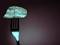 Erstickt an einem Stück Fleisch
