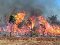 Aussage gegen Aussage