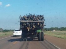 Paraguay gewinnt am meisten Energie aus der Holzverbrennung