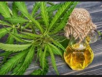 Cannabis Öl in Paraguay nun offiziell zum Verkauf freigegeben