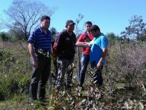 Nachahmer der EPP verhaftet