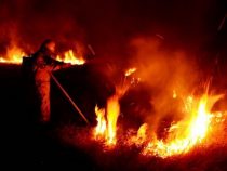 Zwischen Gefrier- und Flächenbrand im Chaco