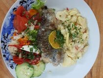 Die Vergangenheit lebt auf