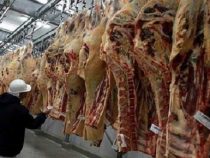 Paraguayisches Rindfleisch eines der besten in der Welt