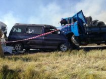 Rauchschwaden wegen Flächenbrand: Zwei Tote