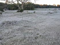 Chaco und Süden des Landes erwartet 0°C