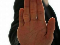 Wie der Mensch, so sein Hund