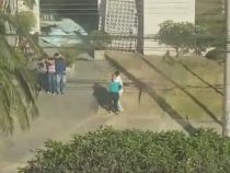 PCC: Ähnliche Situation, unterschiedliche Handlungsweise