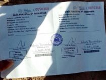 LKW mit Palo Santo Holz im Chaco beschlagnahmt