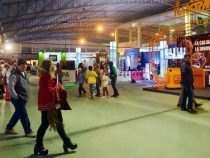 Öffentliche Investitionen erreichen Kleinunternehmer nicht