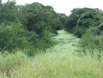 Ein Projekt von entscheidender Bedeutung im Chaco