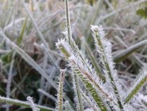 Paraguay, ein Wintermärchen