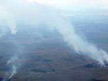 Waldbrände in Paraguay tragen zum Klimawandel bei