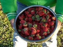 Arbeiten für das tägliche Brot