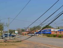 Solidarität in ihrer reinsten Form