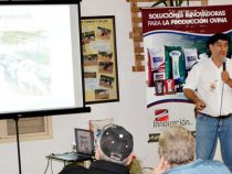 Ausgezeichnete Bedingungen für Schafzüchter im Chaco