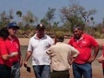 Abholzung von fast 4.000 Hektar entdeckt