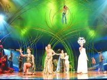 Ein Zirkus vernebelt die Stadträte