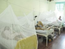 Die Wurzeln allen Übels