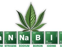 Heilpflanzen und Cannabis