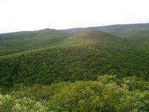 Konferenz über kritische Mineralien: An welchen Ressourcen des Landes sind die USA interessiert?