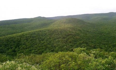 Konferenz über kritische Mineralien: An welchen Ressourcen des Landes sind die USA interessiert?