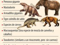 Fund von Fossil sorgt für Aufsehen
