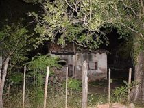 Fehlender familiärer Kontakt und starker Geruch