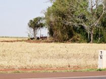 Infona interveniert auf Grundstück von deutschem Kolonisten