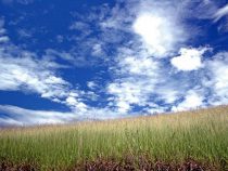 “Gib nicht auf!”