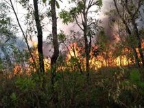 Eine ökologische Katastrophe bahnt sich an