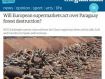 Import von paraguayischer Kohle ausgesetzt