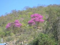 Wunderbare Natur aber auch Sorgen im Chaco