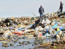 Das Leben auf einer Müllkippe