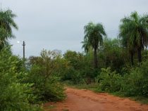 Leiche im Chaco entdeckt