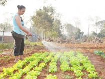 “Wir kaufen nur Mehl und Öl“