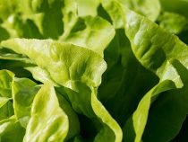 Arbeiten und rechtmäßig Geld verdienen